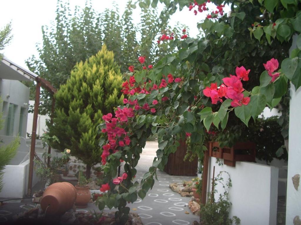 Skyros Panorama Studios Exteriér fotografie
