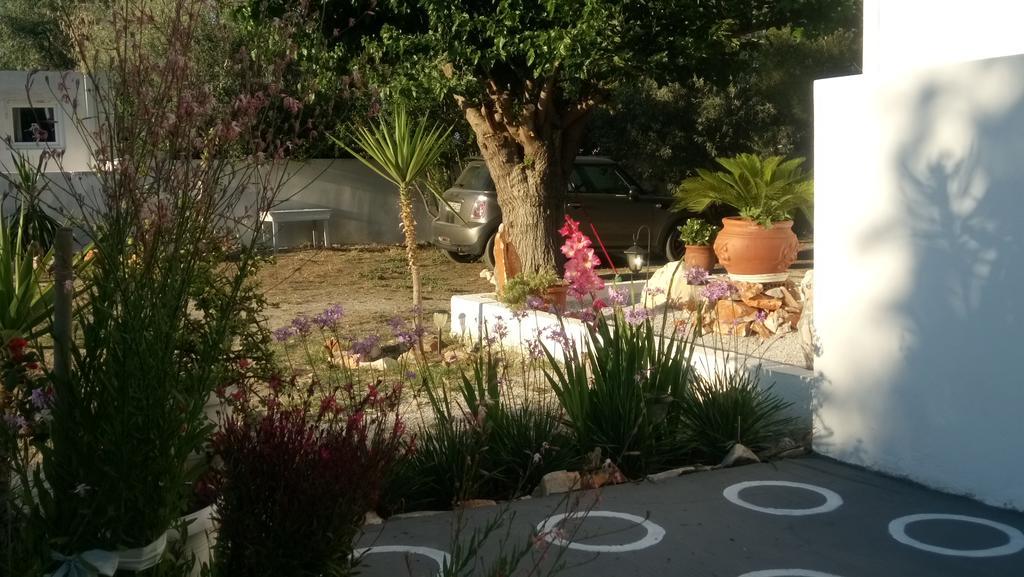 Skyros Panorama Studios Exteriér fotografie