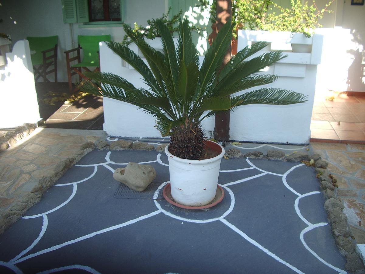 Skyros Panorama Studios Exteriér fotografie