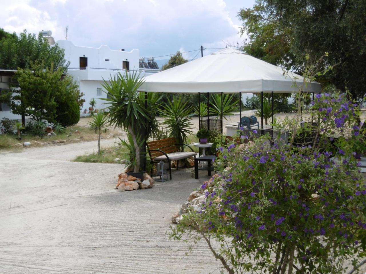 Skyros Panorama Studios Exteriér fotografie
